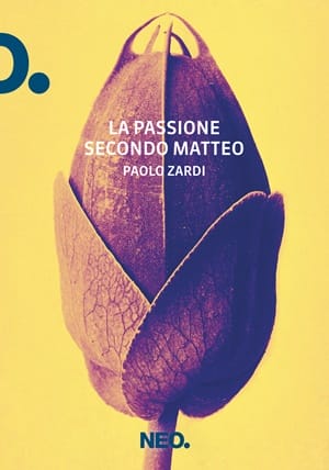 La passione secondo Matteo di Paolo Zardi (Neo Edizioni)